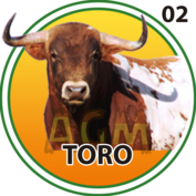 2026-03-14 16:00 2 Toro