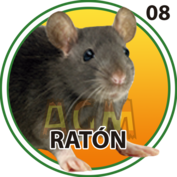 2025-09-16 10:00 8 Ratón