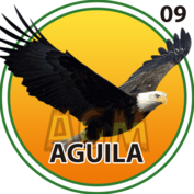 2025-06-30 12:00 9 águila