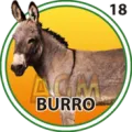 2024-09-07 12:00 18 Burro