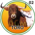 2024-09-07 10:30 2 Toro