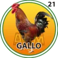 2024-09-07 09:30 21 Gallo