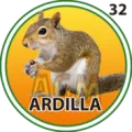 2024-09-07 09:00 32 Ardilla