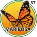 2024-09-07 11:00 37 Mariposa