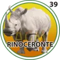 2024-09-07 13:30 39 Rinoceronte