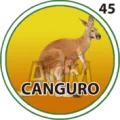 2024-09-07 19:30 45 Canguro