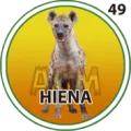 2024-09-07 18:30 49 Hiena