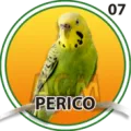 2024-09-07 10:00 7 Perico