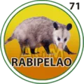 2024-09-07 20:30 71 Rabipelao